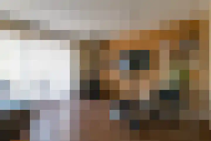 Rijksweg 204 Gronsveld thumbnail 13