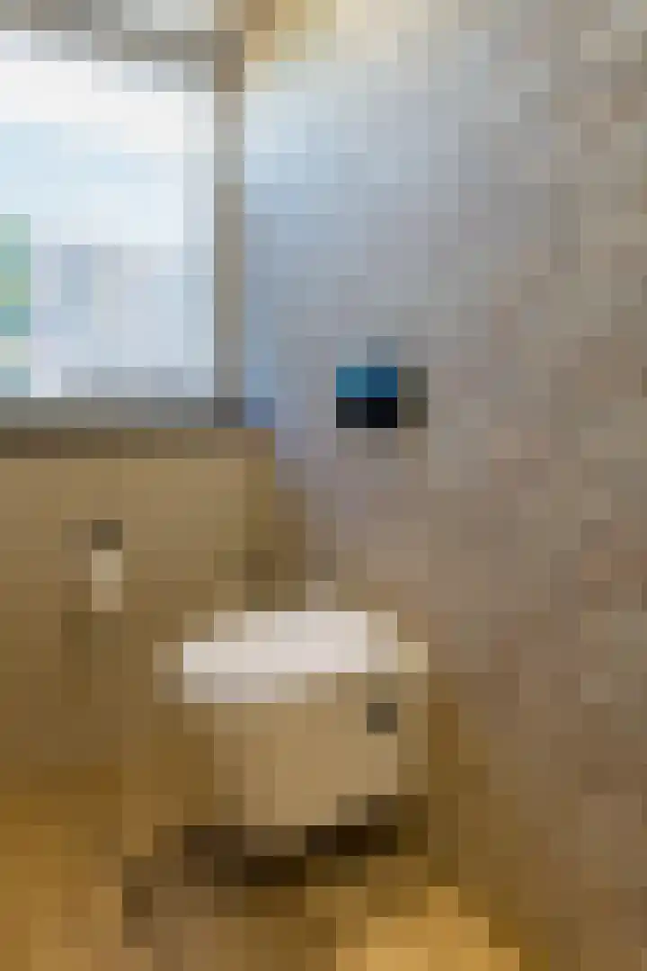 Rijksweg 204 Gronsveld thumbnail 23
