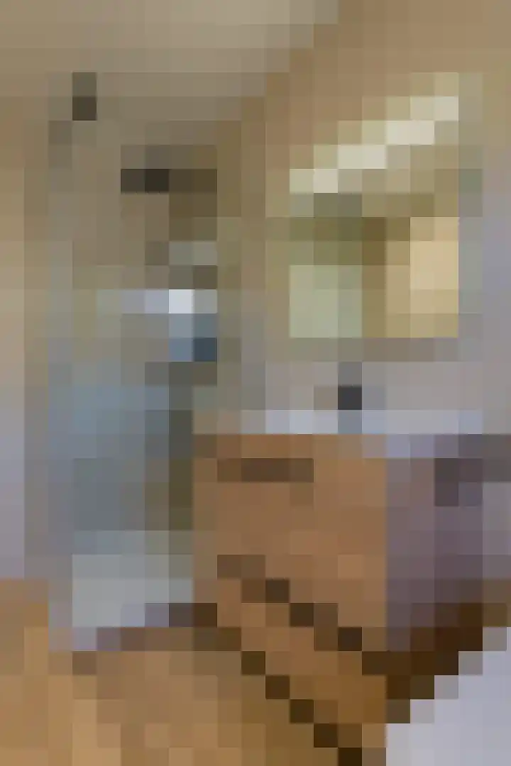 Rijksweg 204 Gronsveld thumbnail 24