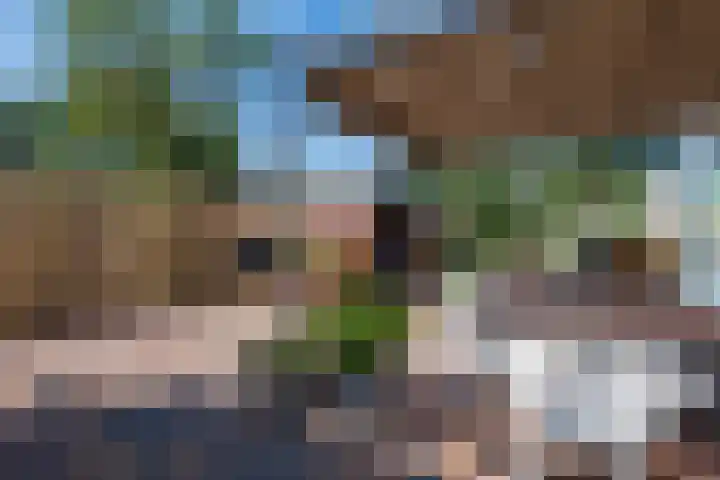 Rijksweg 204 Gronsveld thumbnail 32
