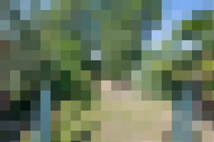 Rijksweg 204 Gronsveld thumbnail 34