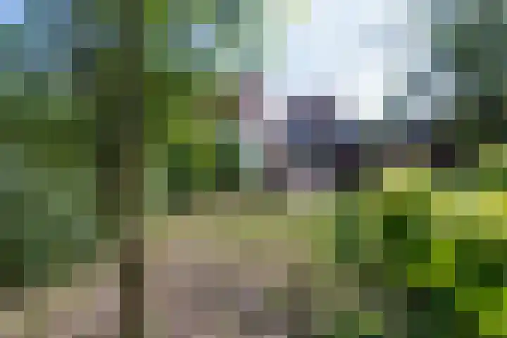 Rijksweg 204 Gronsveld thumbnail 36