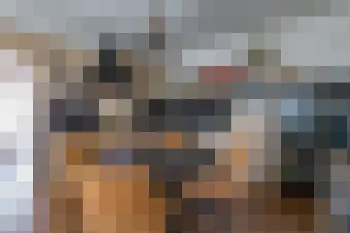 Rijksweg 204 Gronsveld thumbnail 8