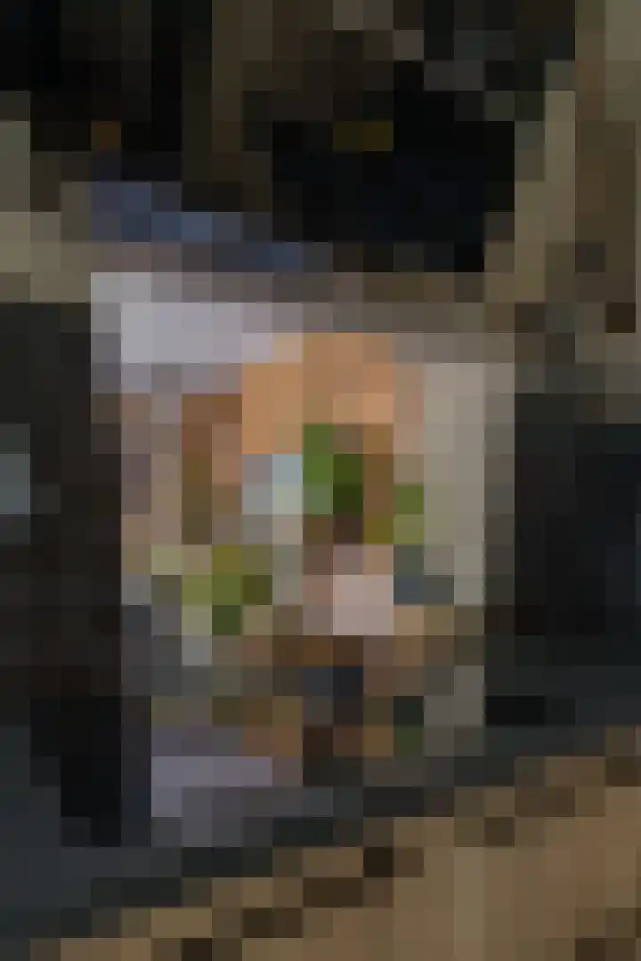 Rijksweg 204 Gronsveld thumbnail 9