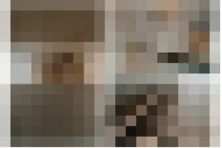 Rijksweg 204 Nieuwendijk thumbnail 10
