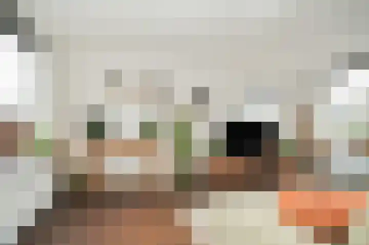 Rijksweg 204 Nieuwendijk thumbnail 11