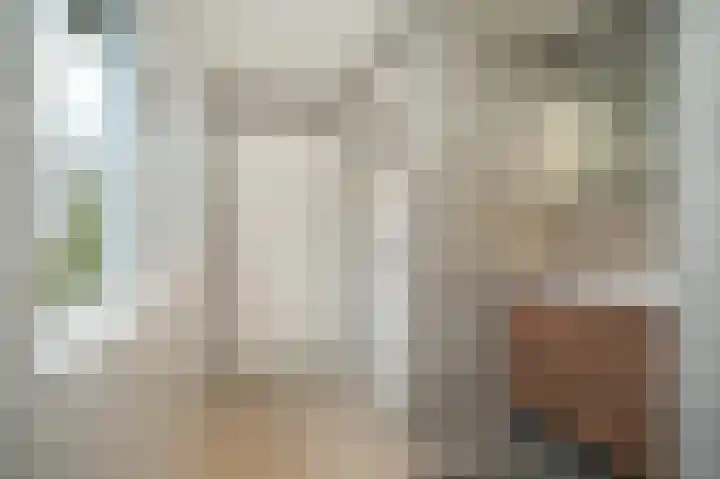 Rijksweg 204 Nieuwendijk thumbnail 24
