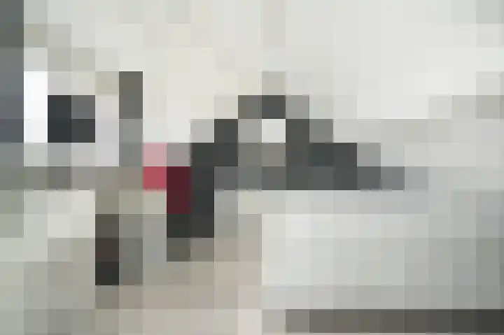 Rijksweg 204 Nieuwendijk thumbnail 27