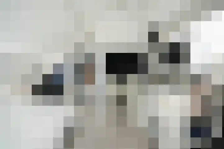 Rijksweg 204 Nieuwendijk thumbnail 28
