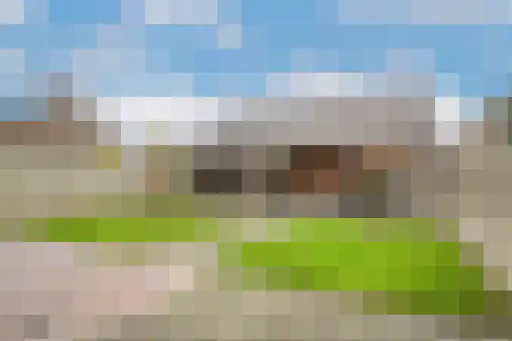Rijksweg 204 Nieuwendijk foto 3