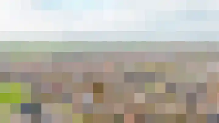 Rijksweg 204 Nieuwendijk thumbnail 38
