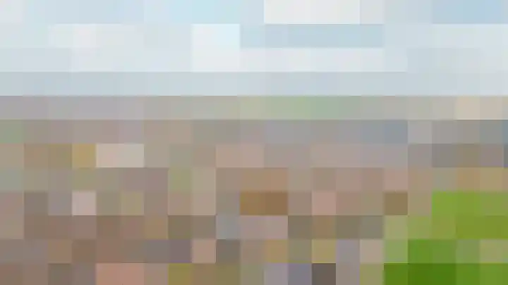 Rijksweg 204 Nieuwendijk thumbnail 39