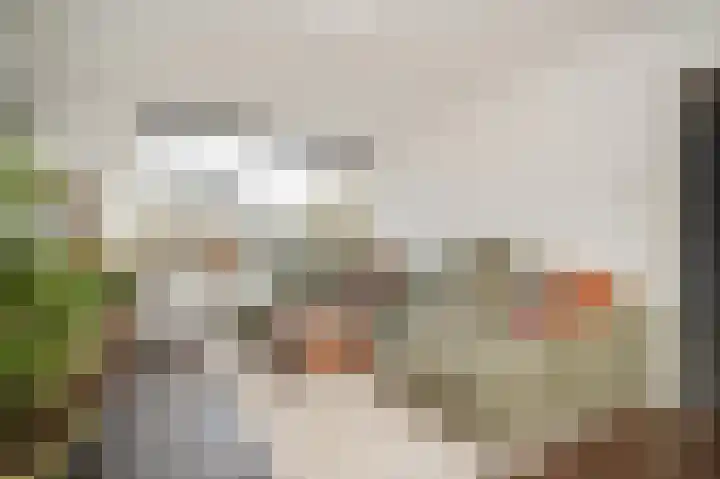 Rijksweg 204 Nieuwendijk thumbnail 4