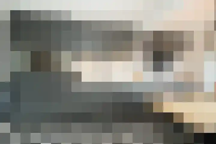 Rijksweg 204 Nieuwendijk thumbnail 6