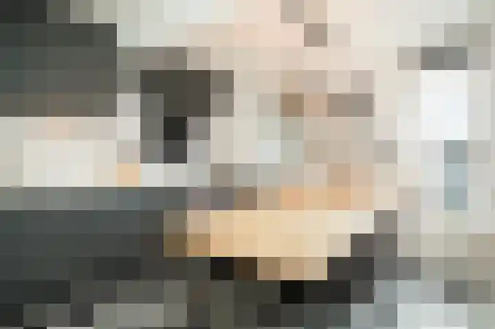 Rijksweg 204 Nieuwendijk thumbnail 7