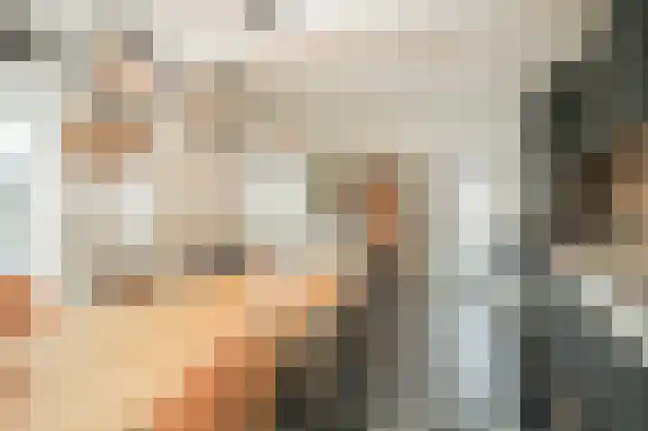 Rijksweg 204 Nieuwendijk thumbnail 8