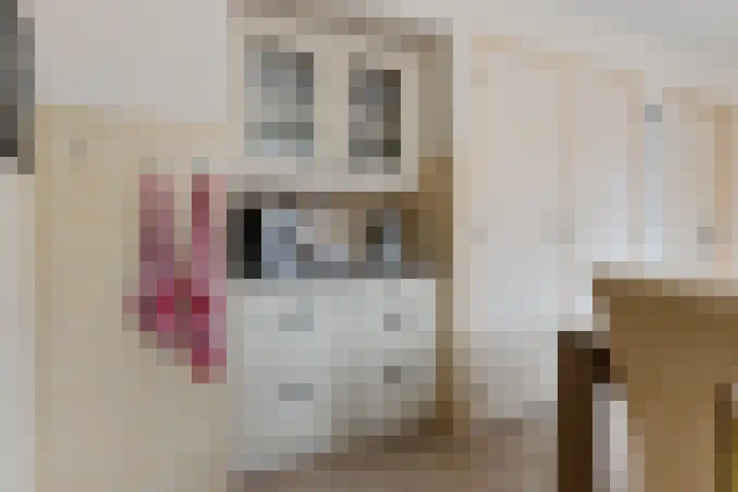 Rijksweg 211 Ten Post thumbnail 21
