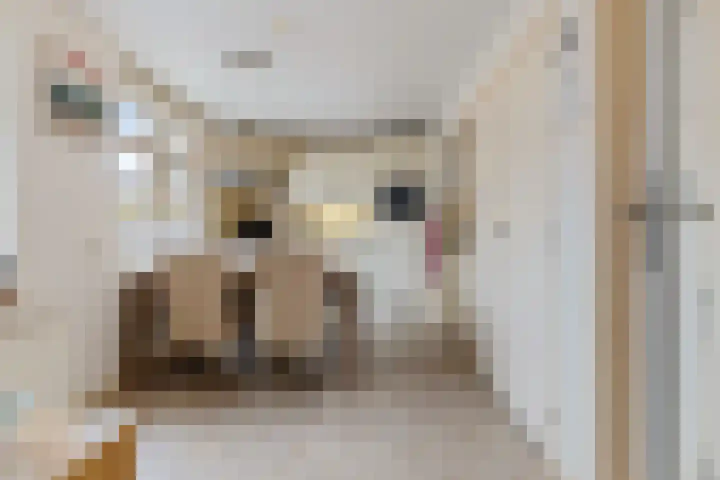 Rijksweg 211 Ten Post thumbnail 5