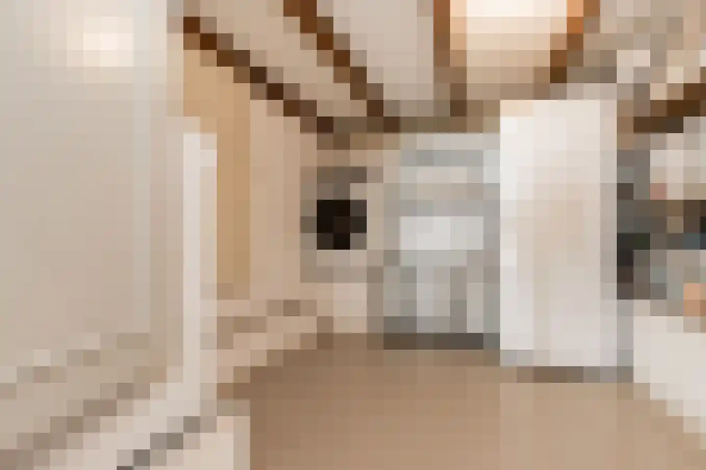 Rijksweg 22 Nieuwendijk thumbnail 15