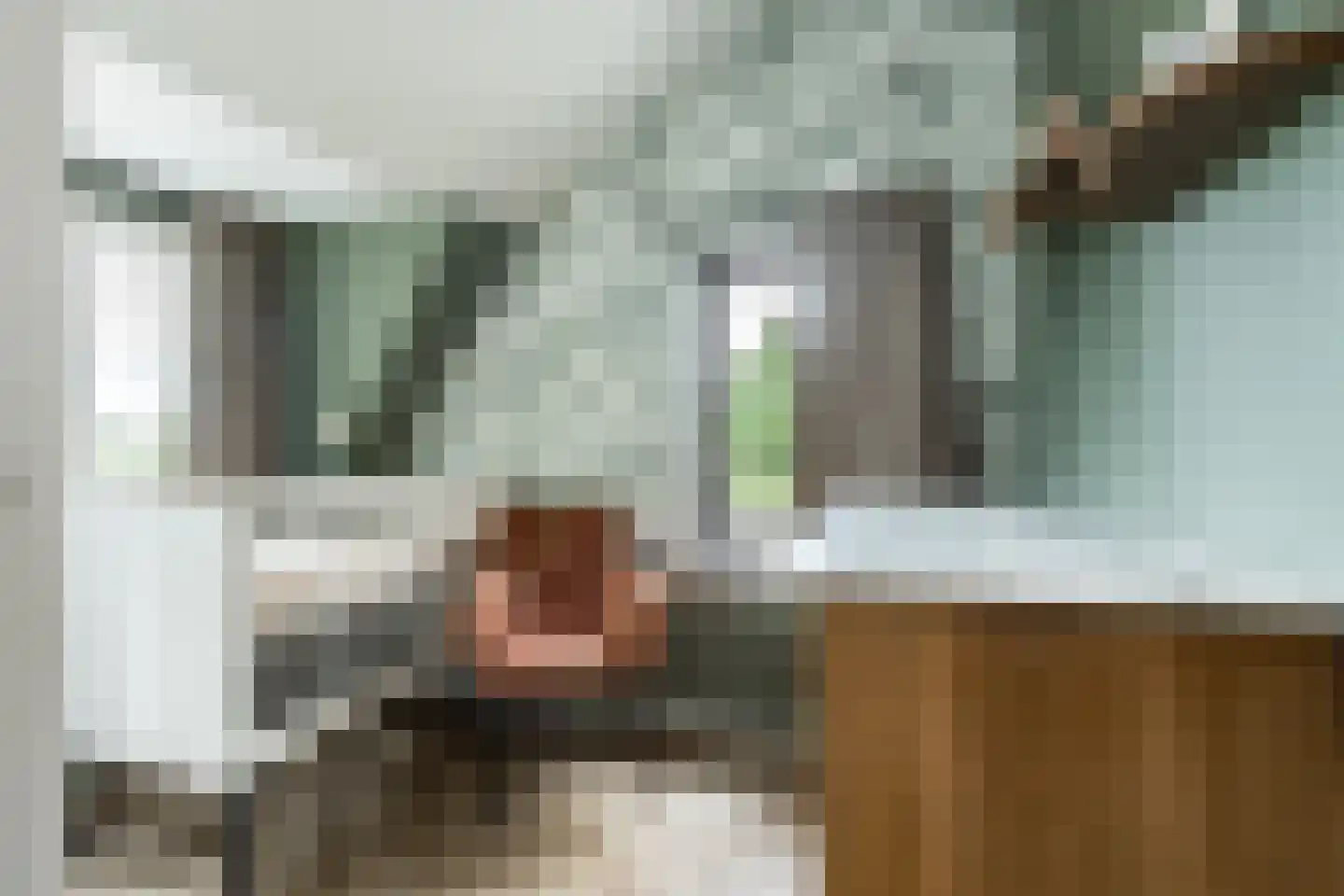 Rijksweg 22 Nieuwendijk thumbnail 27