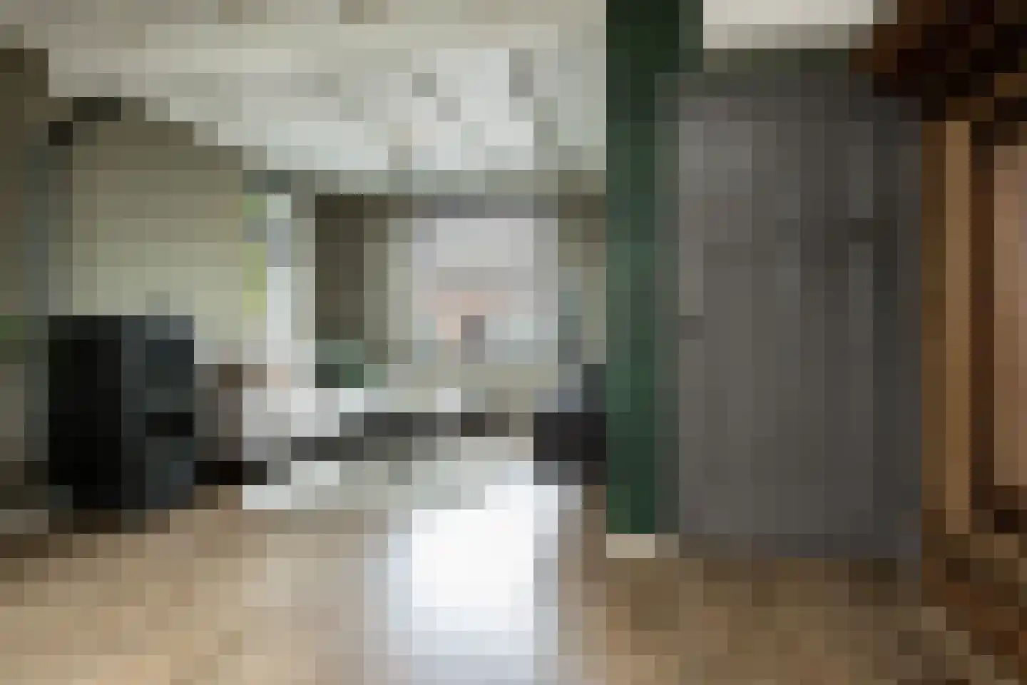 Rijksweg 22 Nieuwendijk foto 3