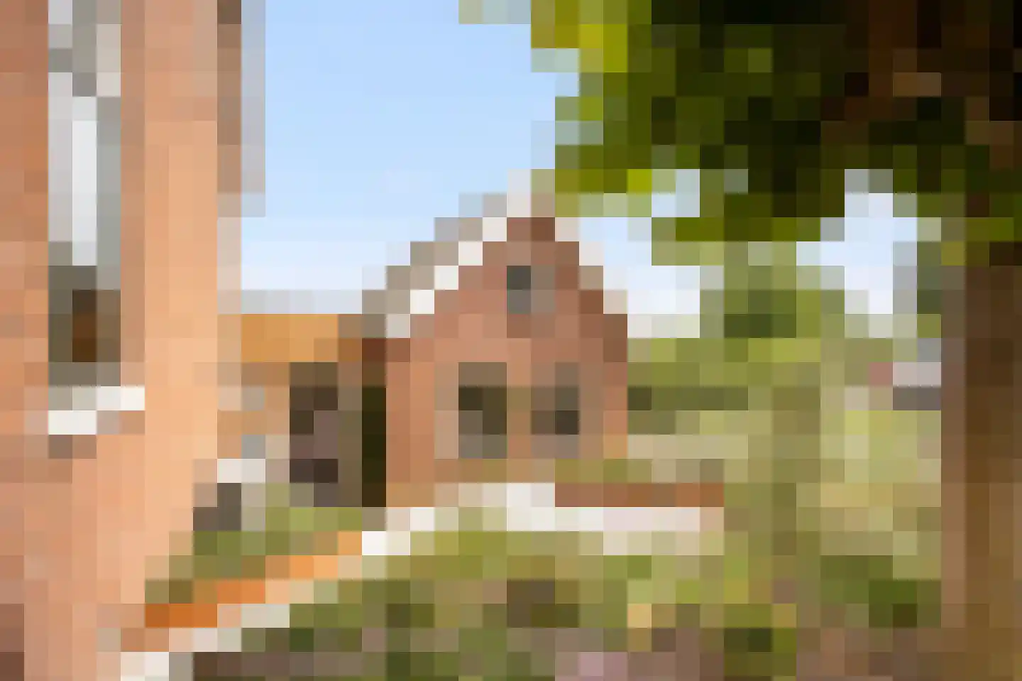 Rijksweg 22 Nieuwendijk thumbnail 32