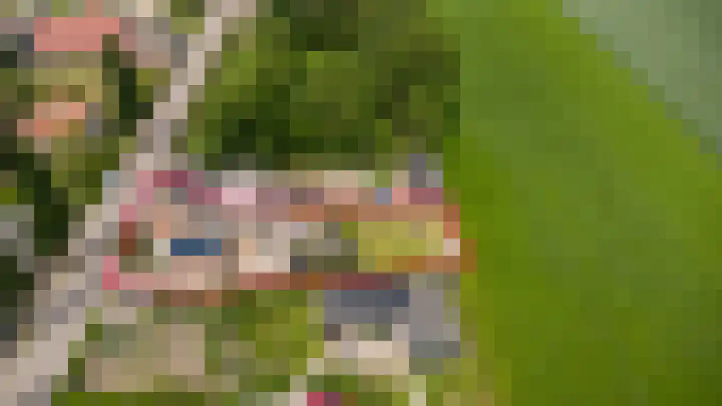 Rijksweg 22 Nieuwendijk thumbnail 40