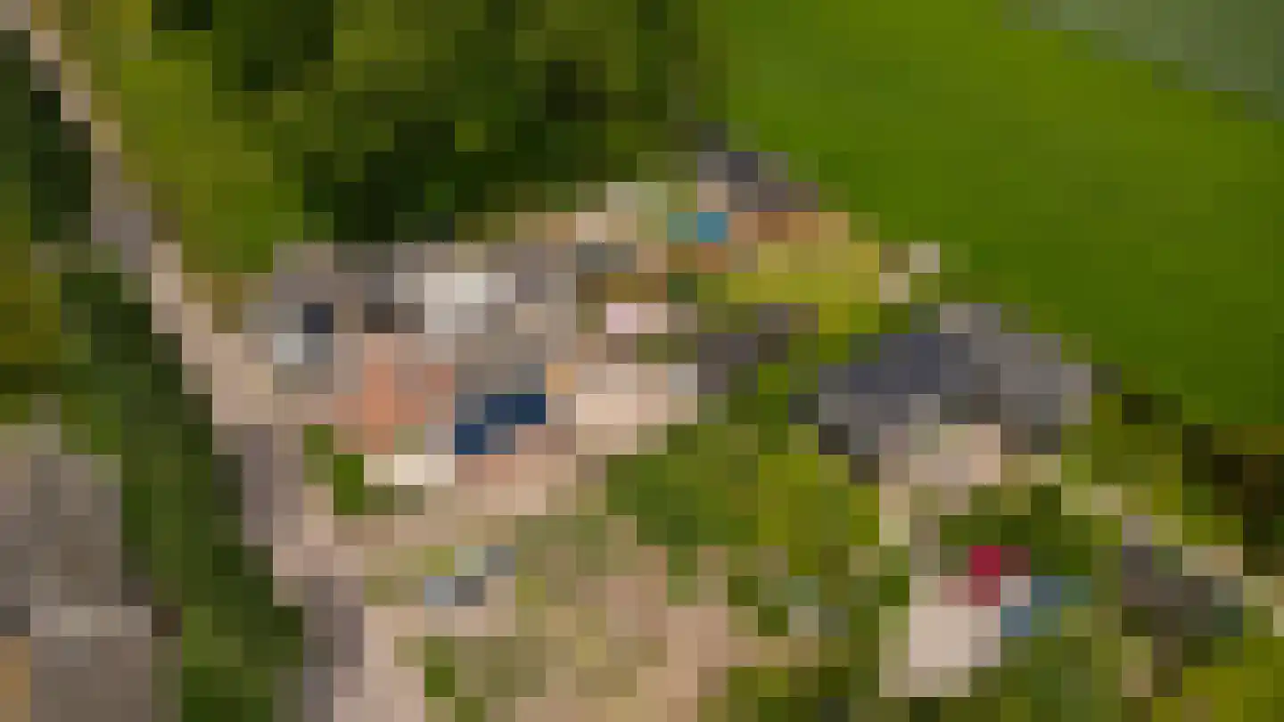 Rijksweg 22 Nieuwendijk thumbnail 41