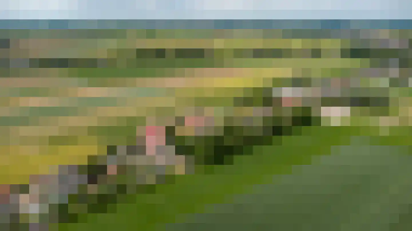 Rijksweg 22 Nieuwendijk thumbnail 42