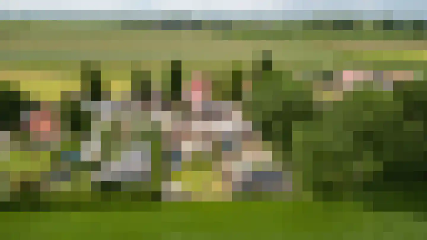 Rijksweg 22 Nieuwendijk thumbnail 43