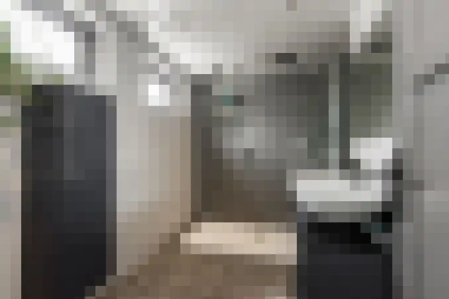 Rijksweg 22 Nieuwendijk thumbnail 5