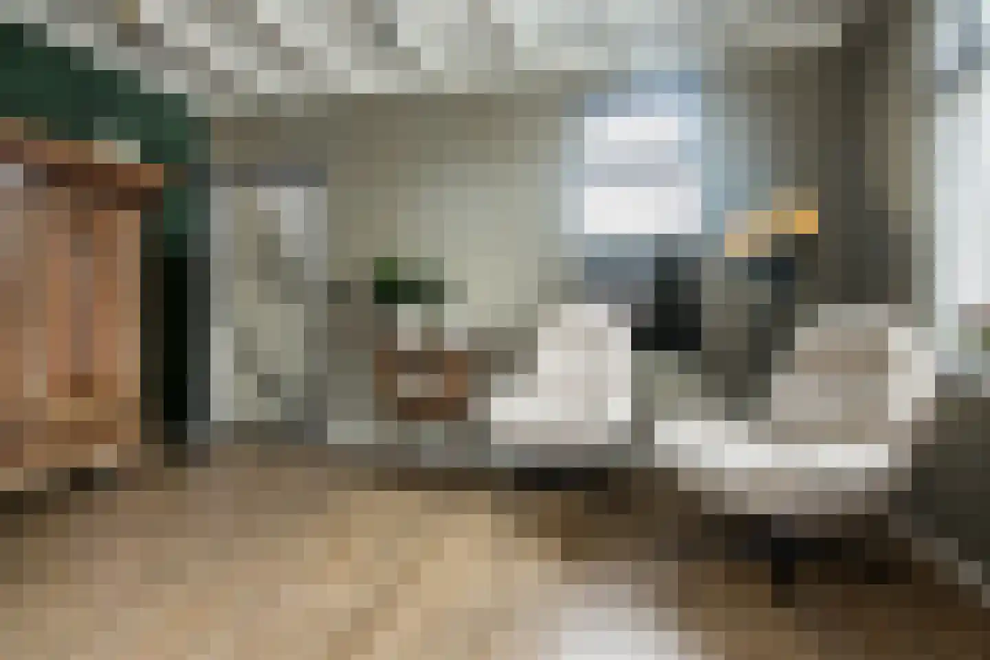 Rijksweg 22 Nieuwendijk thumbnail 7