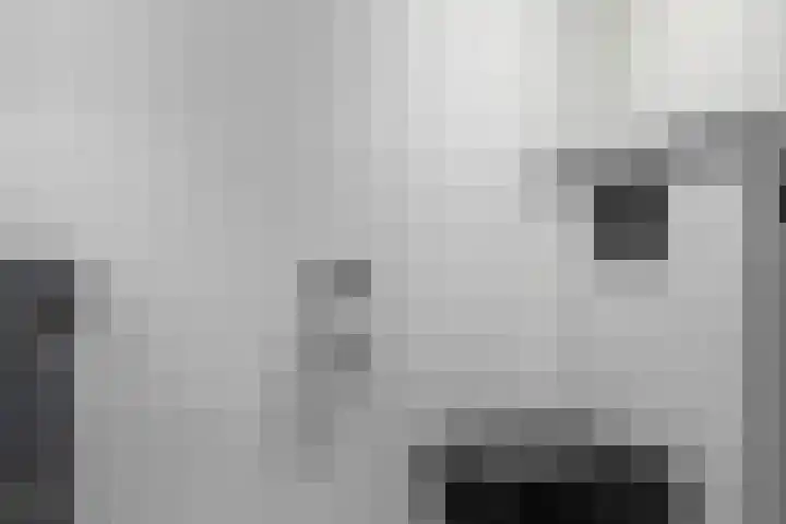 Rijksweg 221 Ten Post thumbnail 15