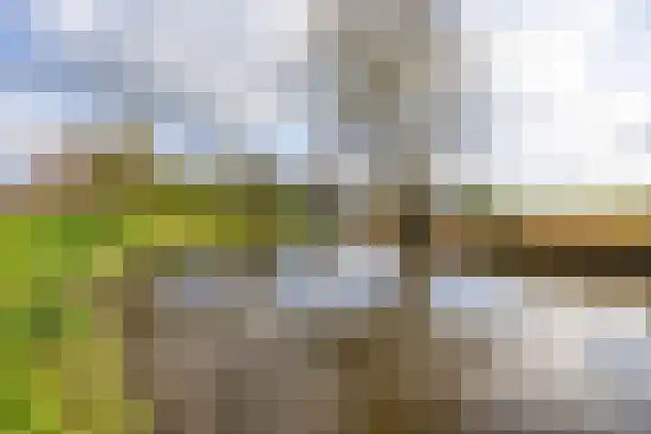 Rijksweg 221 Ten Post thumbnail 39