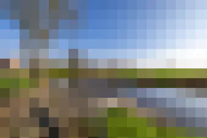 Rijksweg 221 Ten Post thumbnail 40