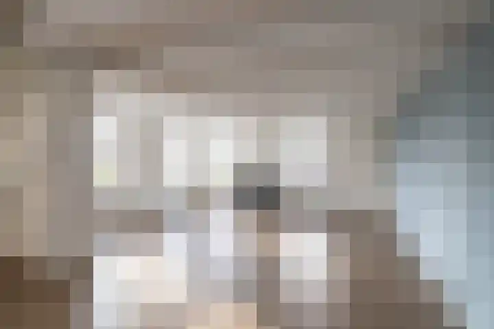 Rijksweg 221 Ten Post thumbnail 8