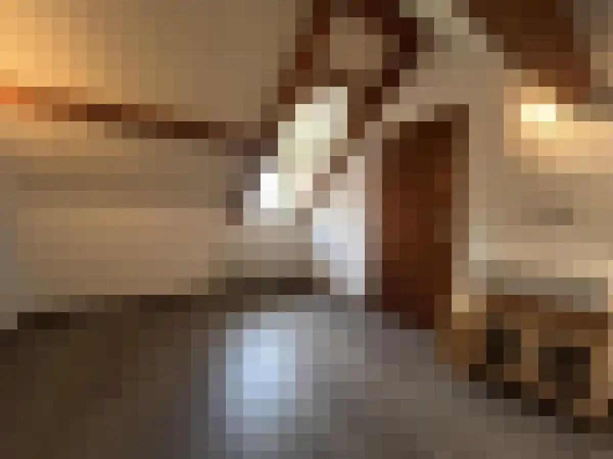 Rijksweg 222 Gronsveld thumbnail 4