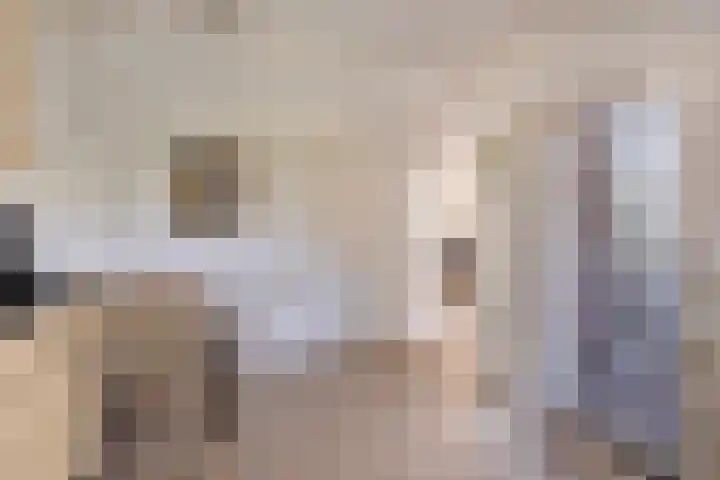 Rijksweg 224 B Gronsveld thumbnail 16