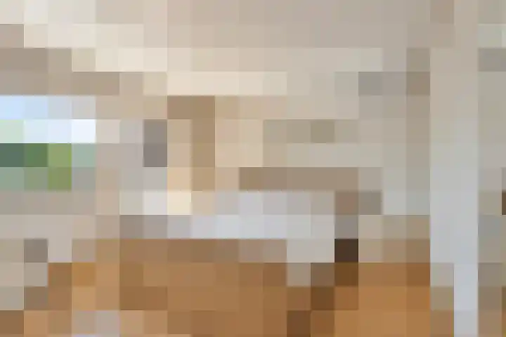 Rijksweg 224 B Gronsveld thumbnail 17
