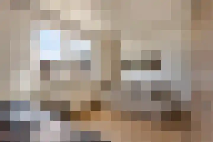 Rijksweg 224 B Gronsveld thumbnail 19