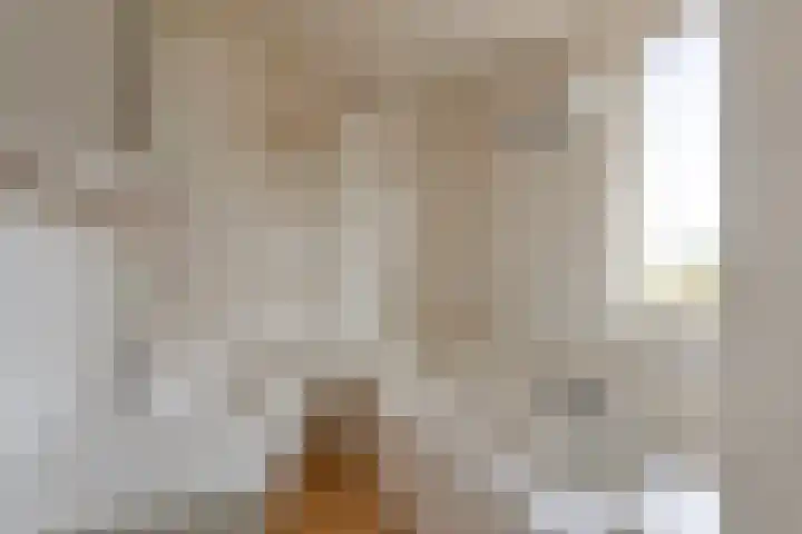 Rijksweg 224 B Gronsveld thumbnail 24