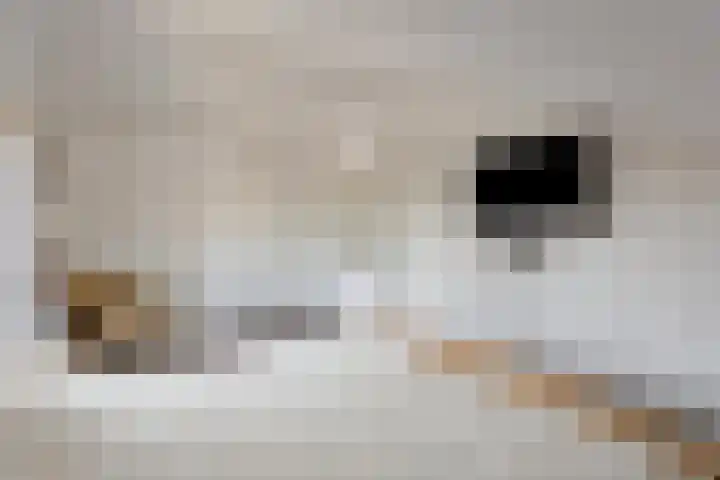 Rijksweg 224 B Gronsveld thumbnail 27