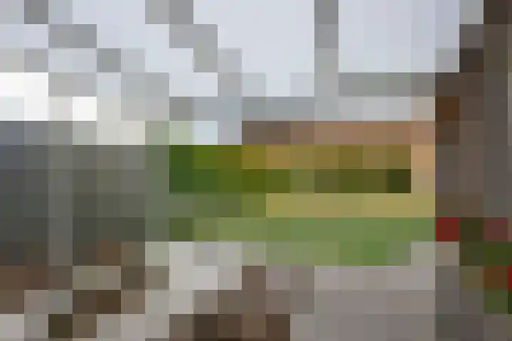 Rijksweg 224 B Gronsveld thumbnail 30