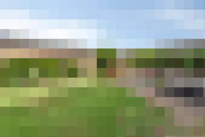 Rijksweg 224 B Gronsveld thumbnail 32