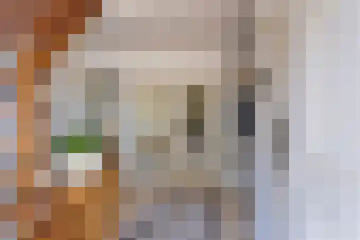 Rijksweg 224 B Gronsveld thumbnail 4