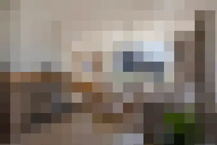 Rijksweg 224 B Gronsveld thumbnail 7