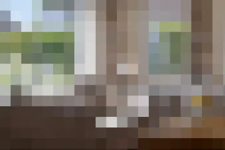 Rijksweg 224 B Gronsveld thumbnail 8