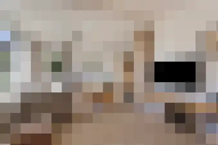 Rijksweg 224 B Gronsveld thumbnail 9