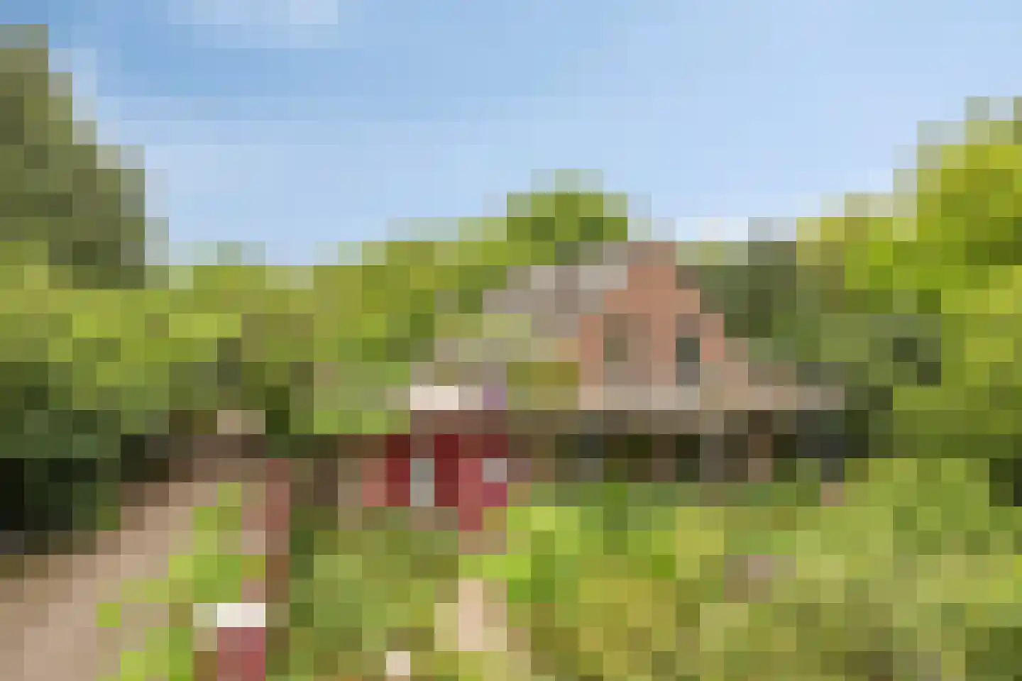 Rijksweg 224 Heumen