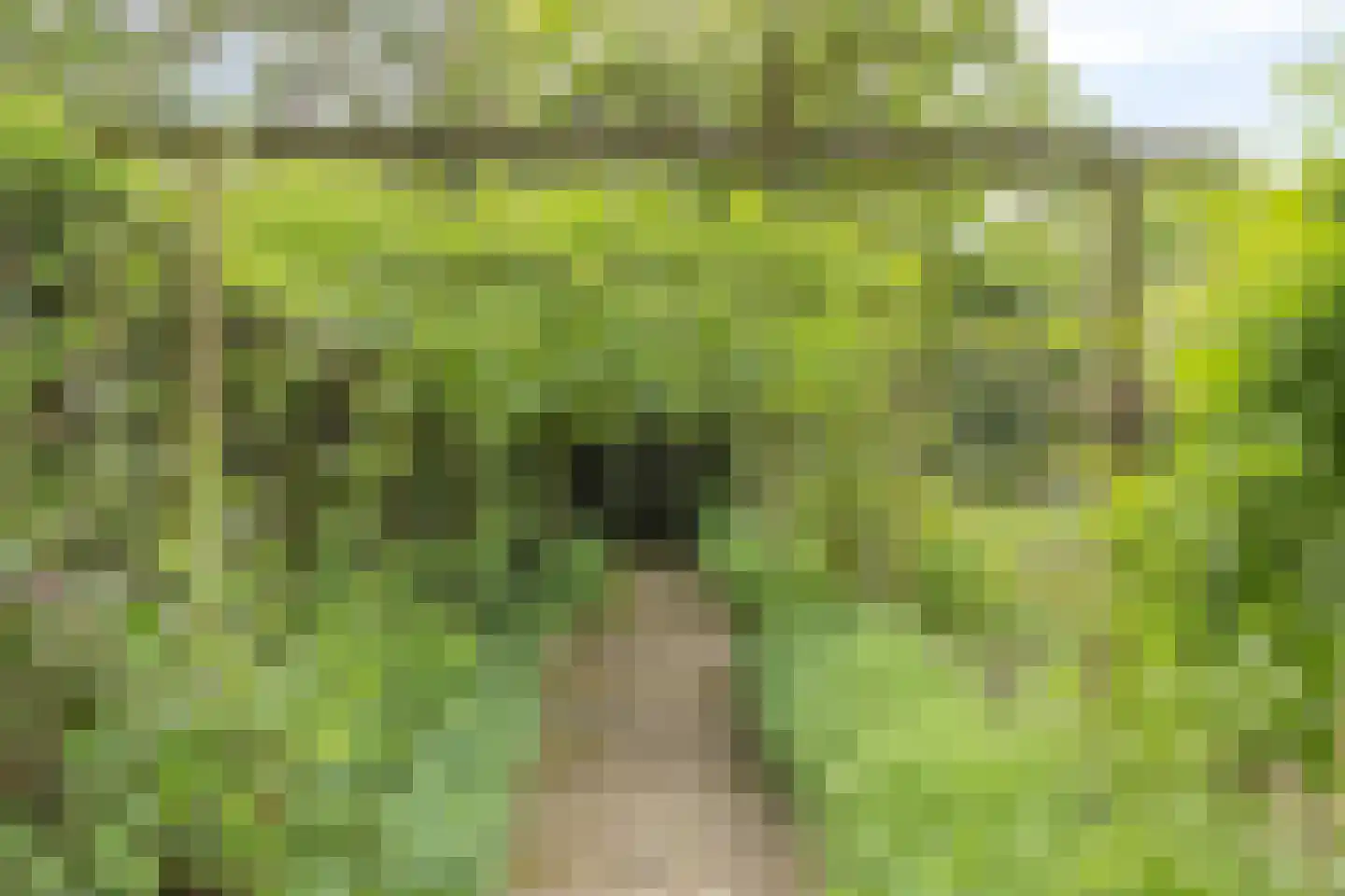 Rijksweg 224 Heumen thumbnail 101